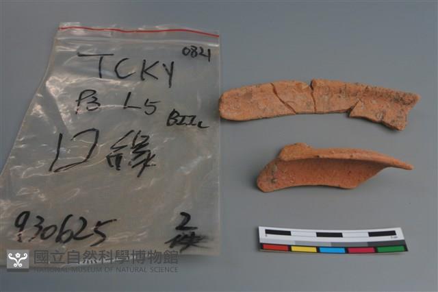 陶片藏品圖，第1張