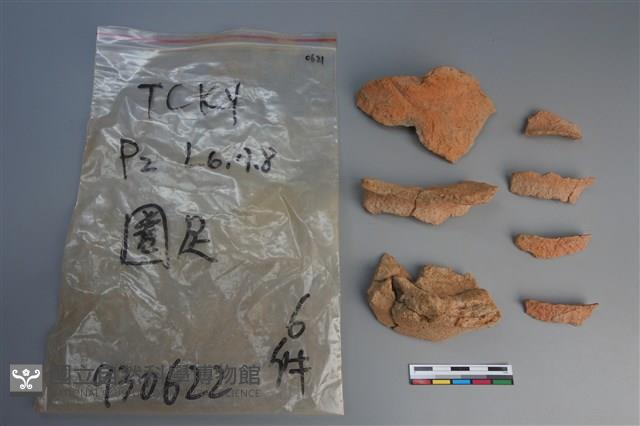 陶片藏品圖，第1張