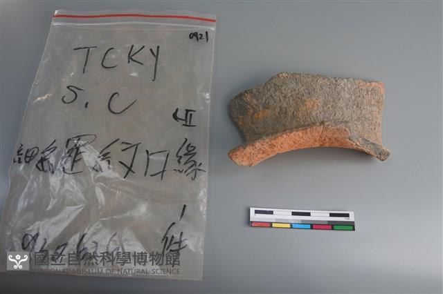 陶片藏品圖，第1張