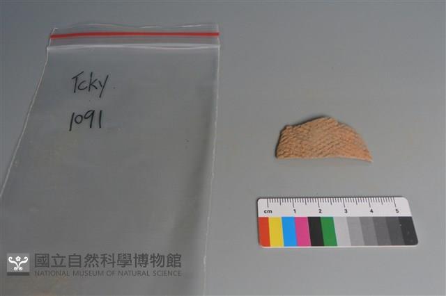 陶片藏品圖，第1張