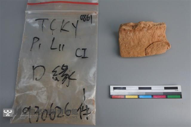 陶片藏品圖，第1張