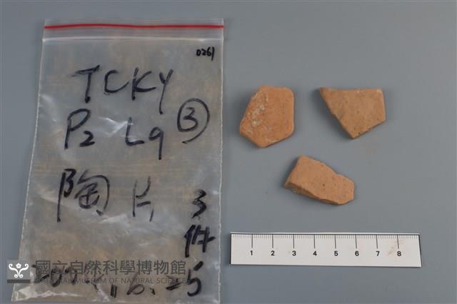 陶片藏品圖，第1張