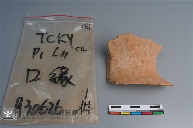 陶片藏品圖，第1張