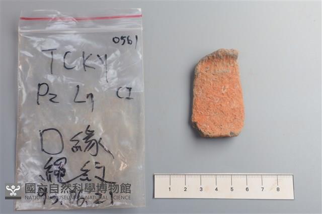 陶片藏品圖，第1張