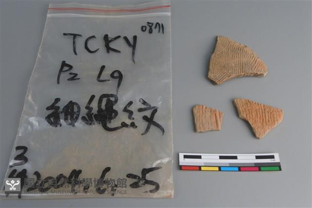 陶片藏品圖，第1張