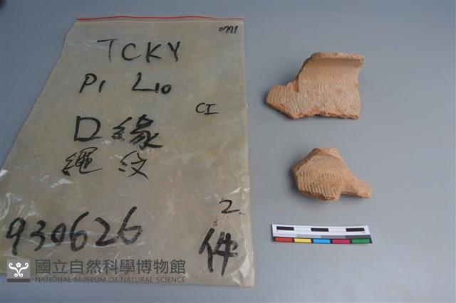 陶片藏品圖，第1張