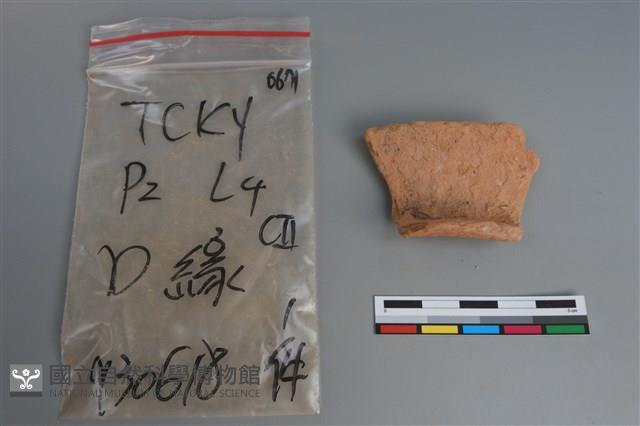 陶片藏品圖，第1張