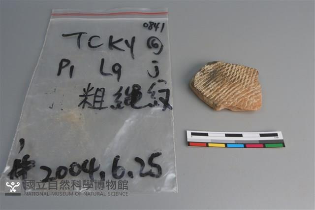 陶片藏品圖，第1張