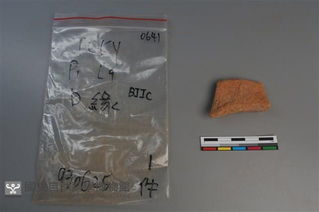 陶片藏品圖，第1張