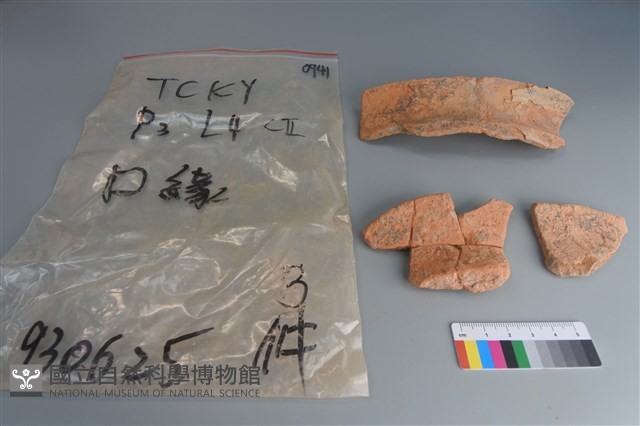 陶片藏品圖，第1張