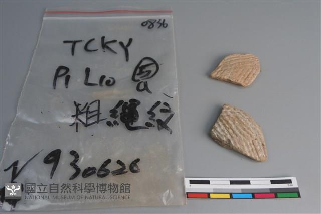 陶片藏品圖，第1張