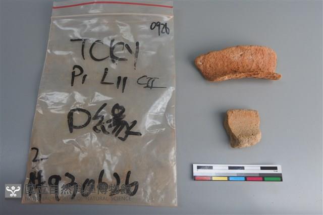 陶片藏品圖，第1張