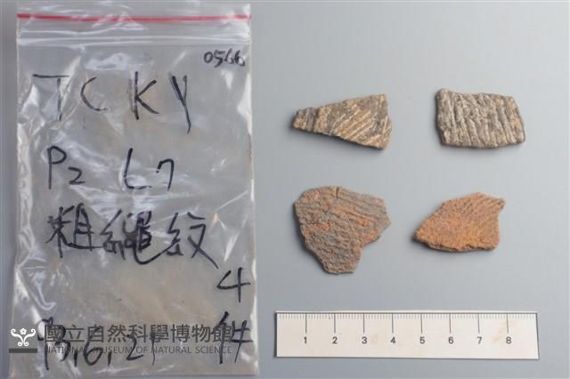 陶片藏品圖，第1張