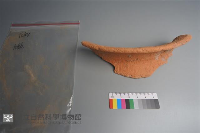 陶片藏品圖，第1張