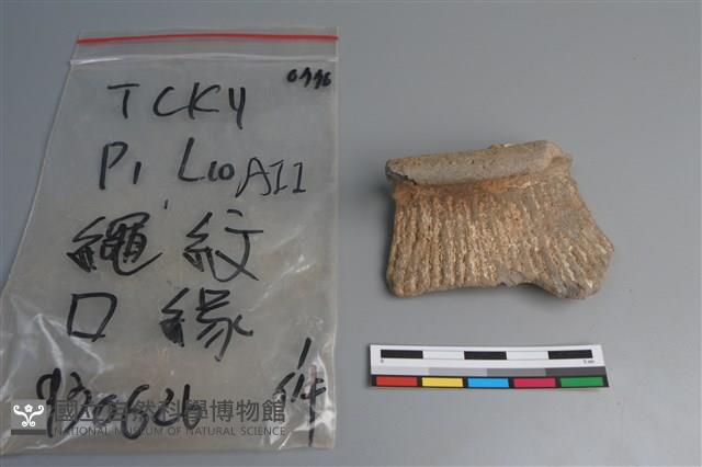 陶片藏品圖，第1張