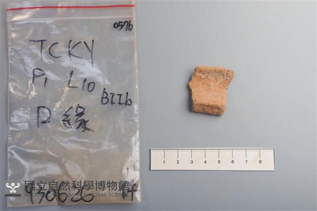 陶片藏品圖，第1張