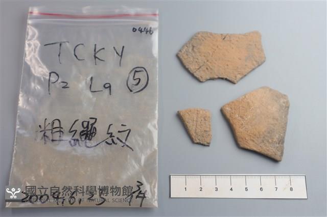 陶片藏品圖，第1張