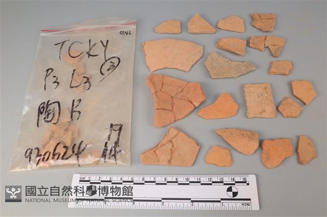 陶片藏品圖，第1張