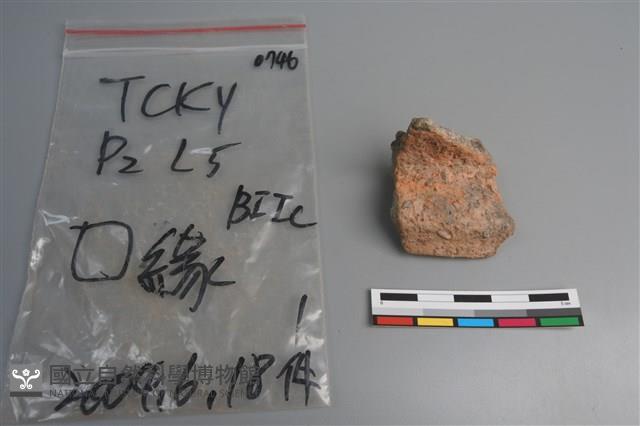 陶片藏品圖，第1張