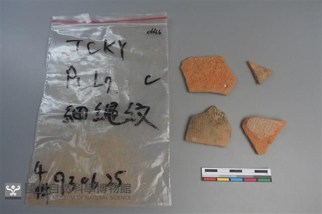 陶片藏品圖，第1張