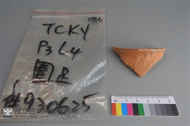 陶片藏品圖，第1張