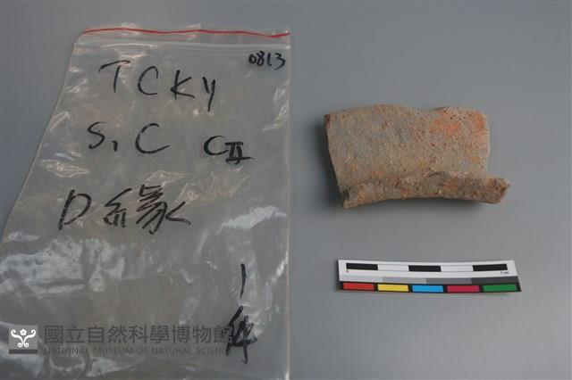 陶片藏品圖，第1張