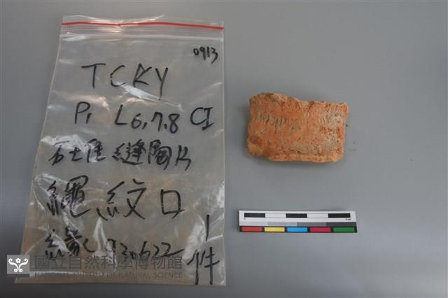 陶片藏品圖，第1張