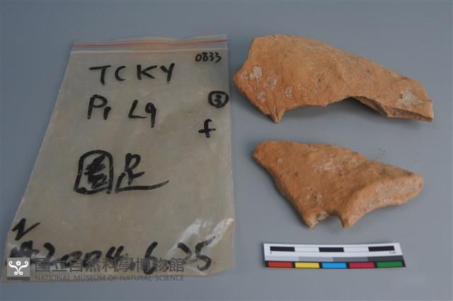 陶片藏品圖，第1張