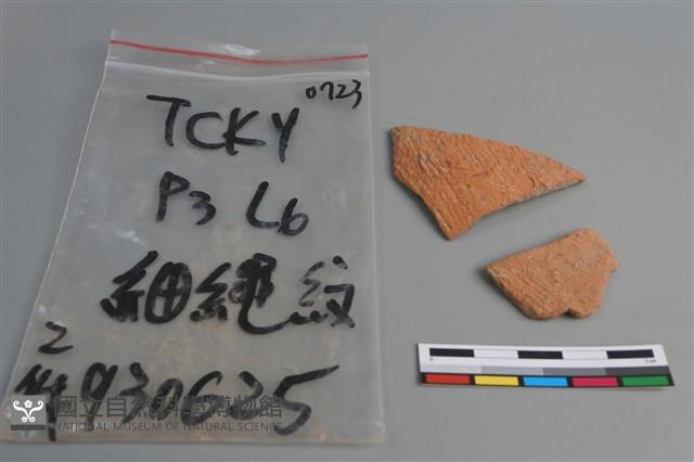 陶片藏品圖，第1張