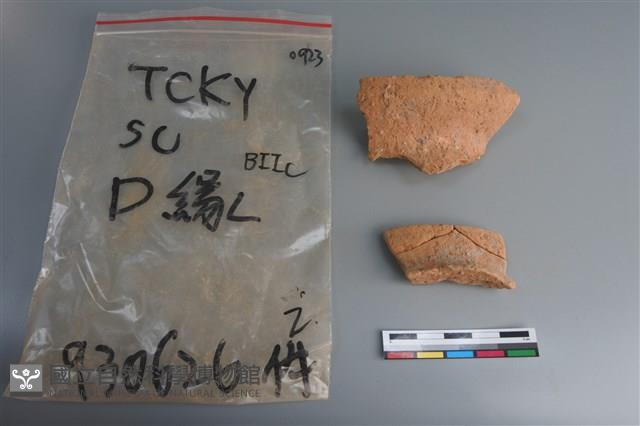 陶片藏品圖，第1張