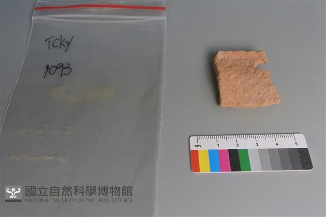 陶片藏品圖，第1張