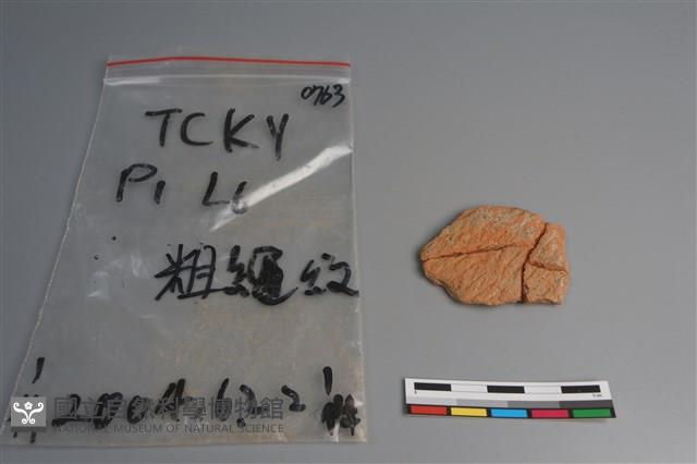 陶片藏品圖，第1張