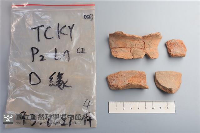 陶片藏品圖，第1張