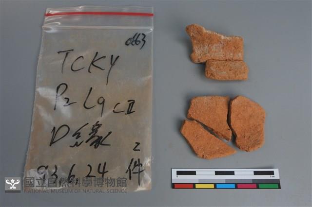 陶片藏品圖，第1張