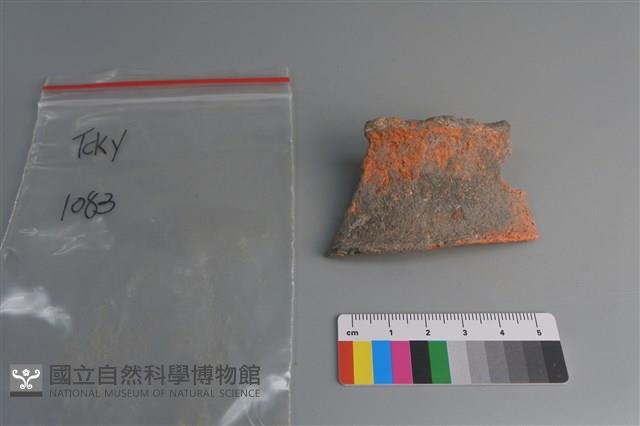 陶片藏品圖，第1張