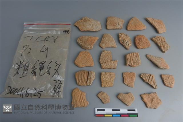 陶片藏品圖，第1張