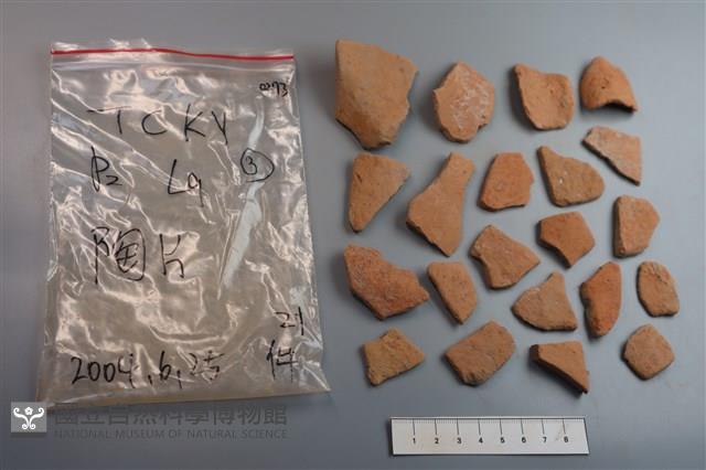 陶片藏品圖，第1張