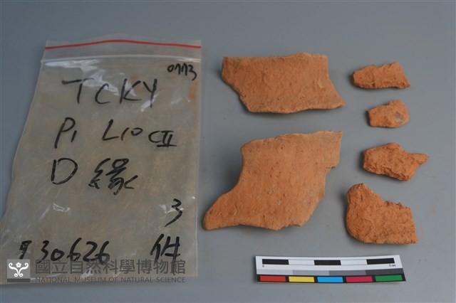 陶片藏品圖，第1張
