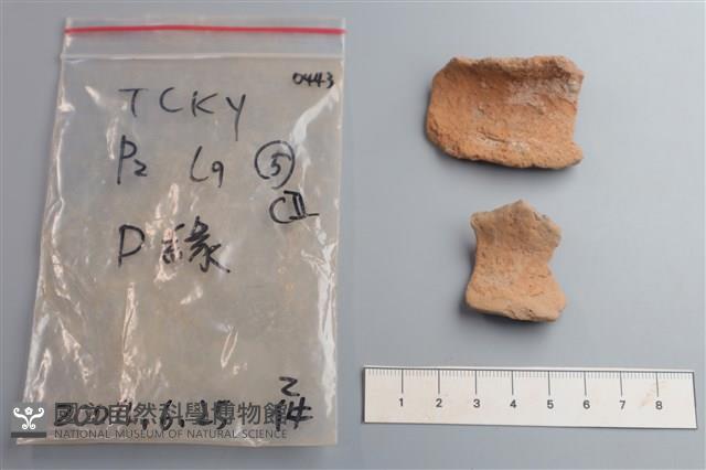 陶片藏品圖，第1張