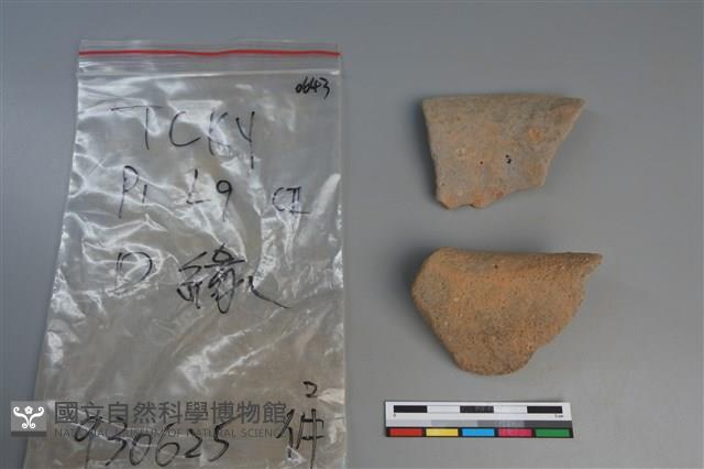 陶片藏品圖，第1張