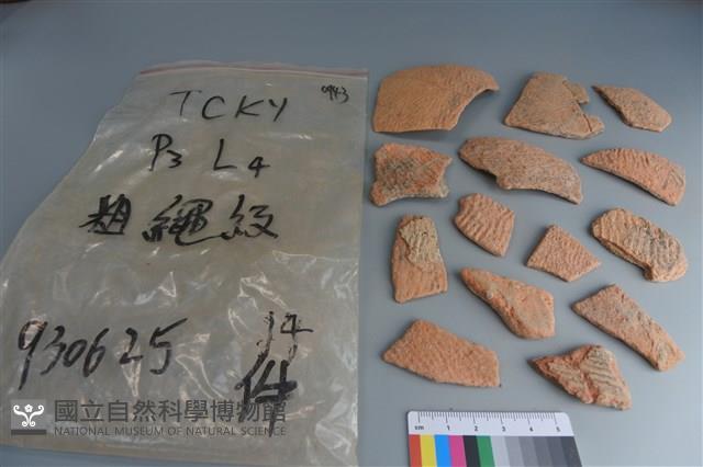 陶片藏品圖，第1張