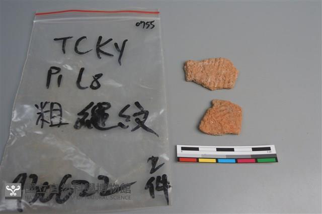 陶片藏品圖，第1張