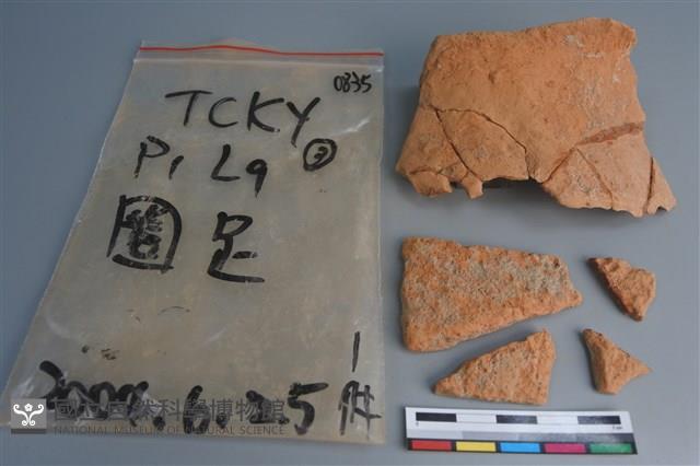 陶片藏品圖，第1張