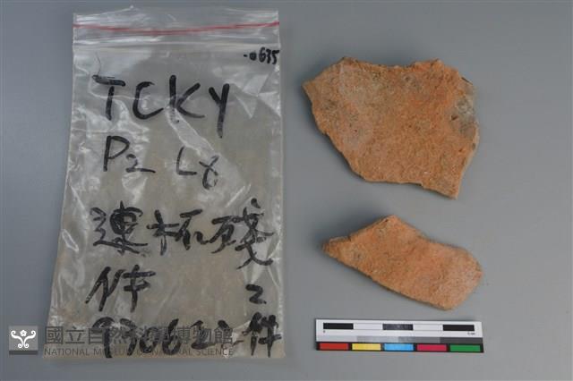 陶片藏品圖，第1張