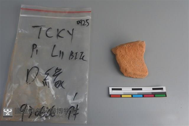 陶片藏品圖，第1張