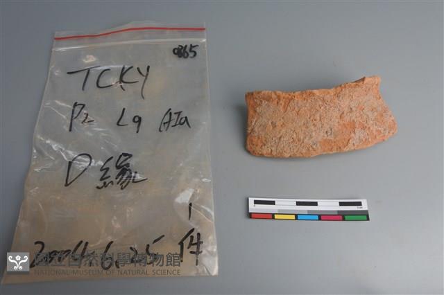 陶片藏品圖，第1張