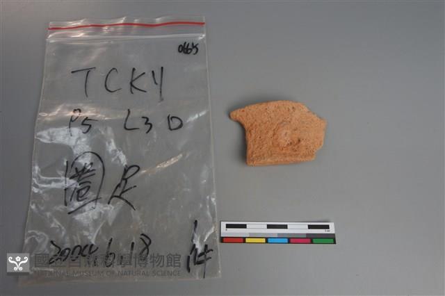 陶片藏品圖，第1張