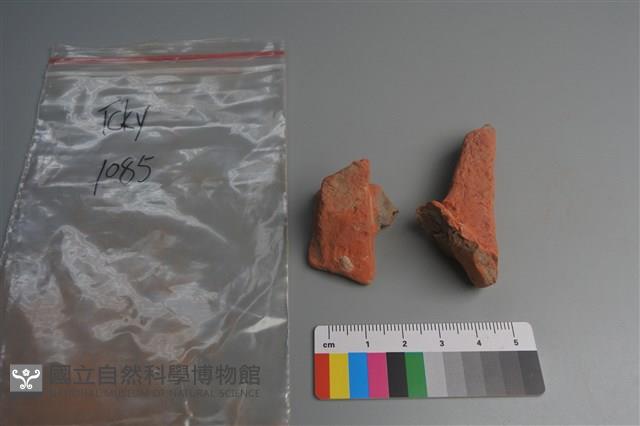 陶片藏品圖，第1張