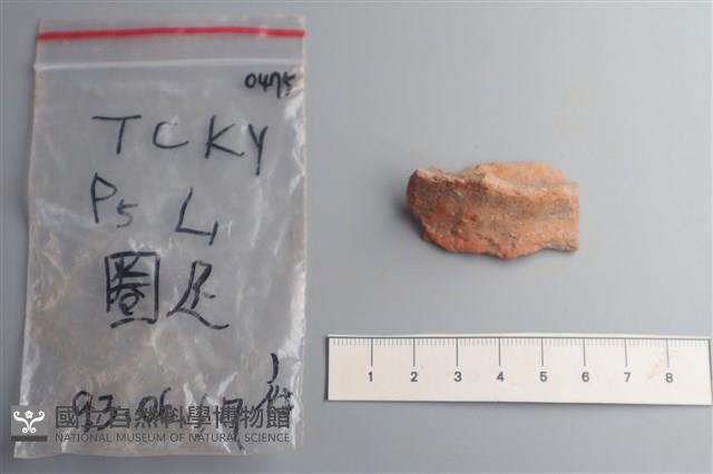 陶片藏品圖，第1張