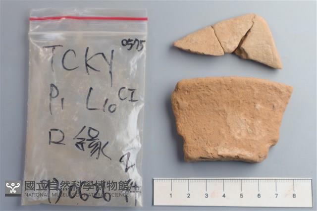 陶片藏品圖，第1張